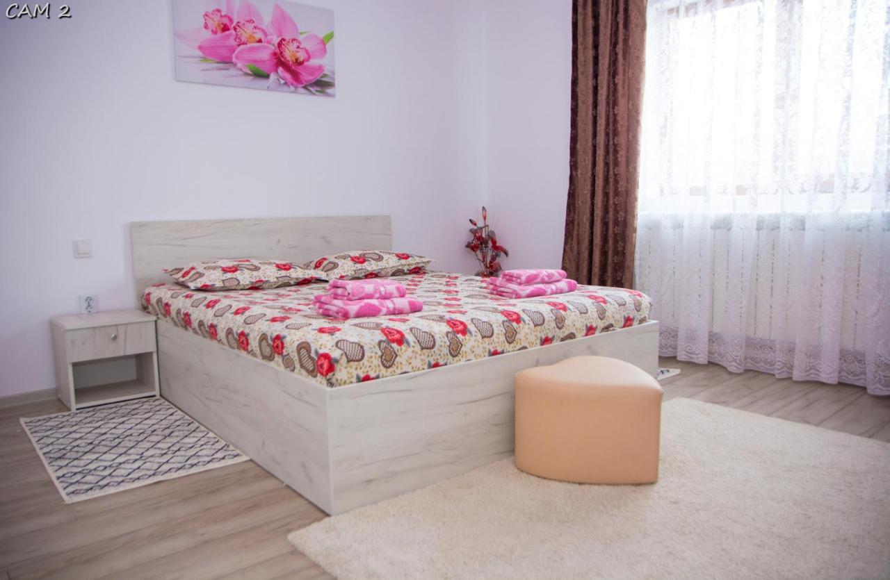 Casa Stefania 1 Daire Călimăneşti Dış mekan fotoğraf