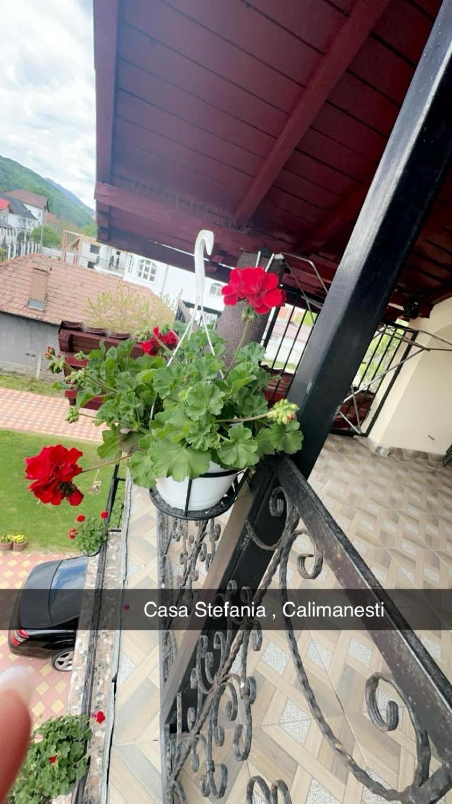 Casa Stefania 1 Daire Călimăneşti Dış mekan fotoğraf